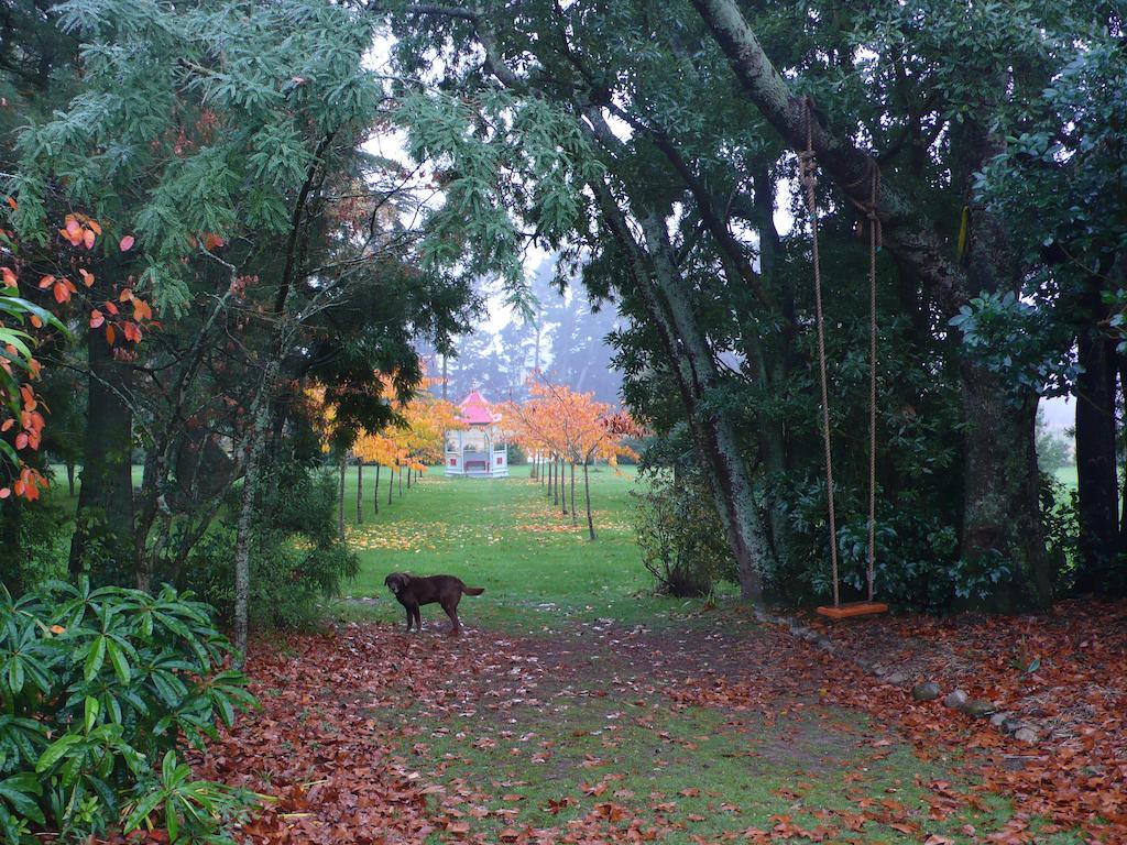 Villa Gunyah Country Estate Windwhistle Esterno foto